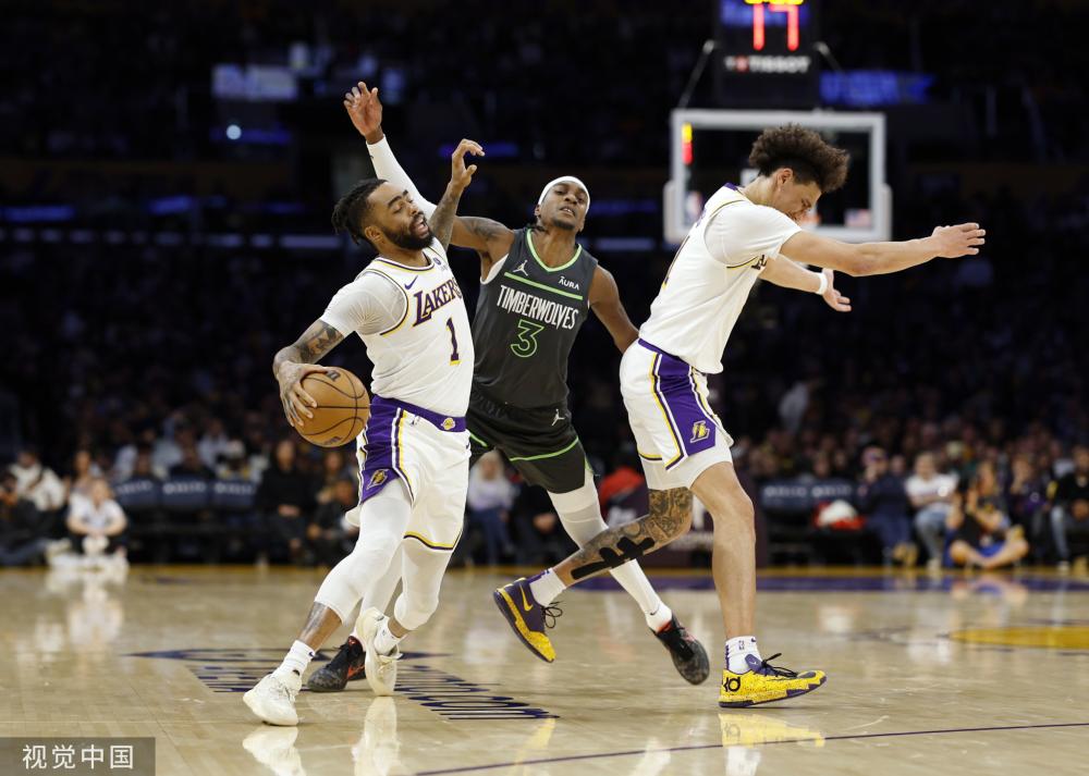 专业机构的 专业机构的